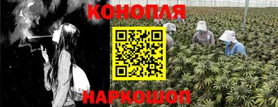 ГАЛЛЮЦИНОГЕННЫЕ ГРИБЫ Донской