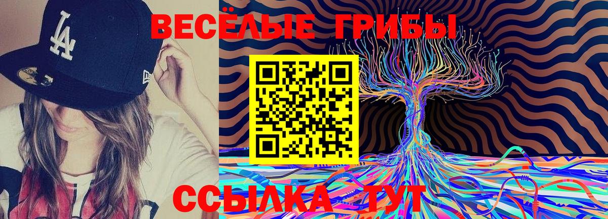 Галлюциногенные грибы Cubensis  Псилоцибиновые грибы Cubensis  Вход с VPN  Можайск 